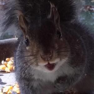 Meet your Posher, Sandra